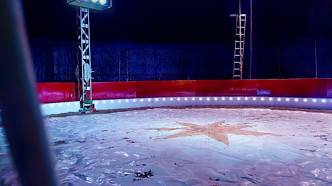 Reiche_ocircus_Bild2