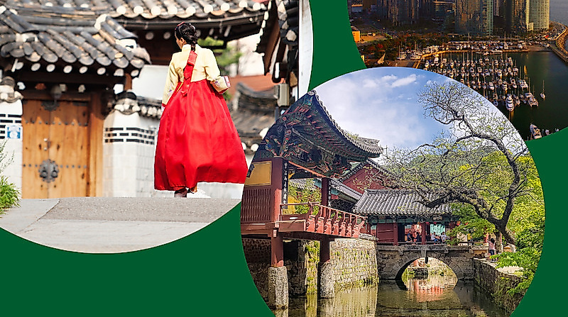 Ein Abend in Südkorea – Mit allen Sinnen auf Reisen ✨