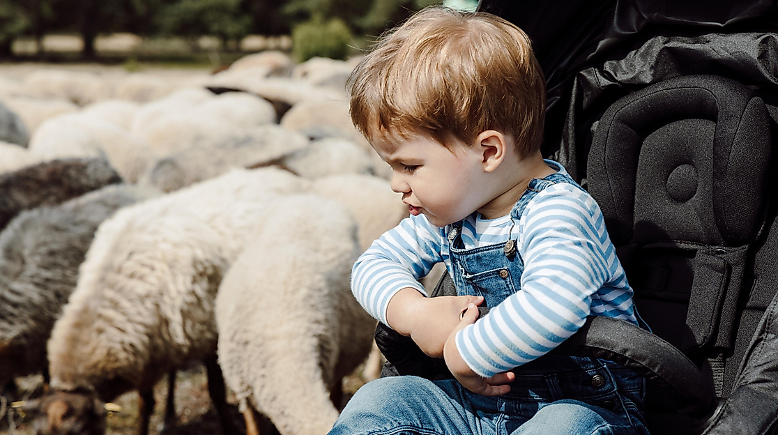 Kinder erleben: Bauernhof zum Anfassen