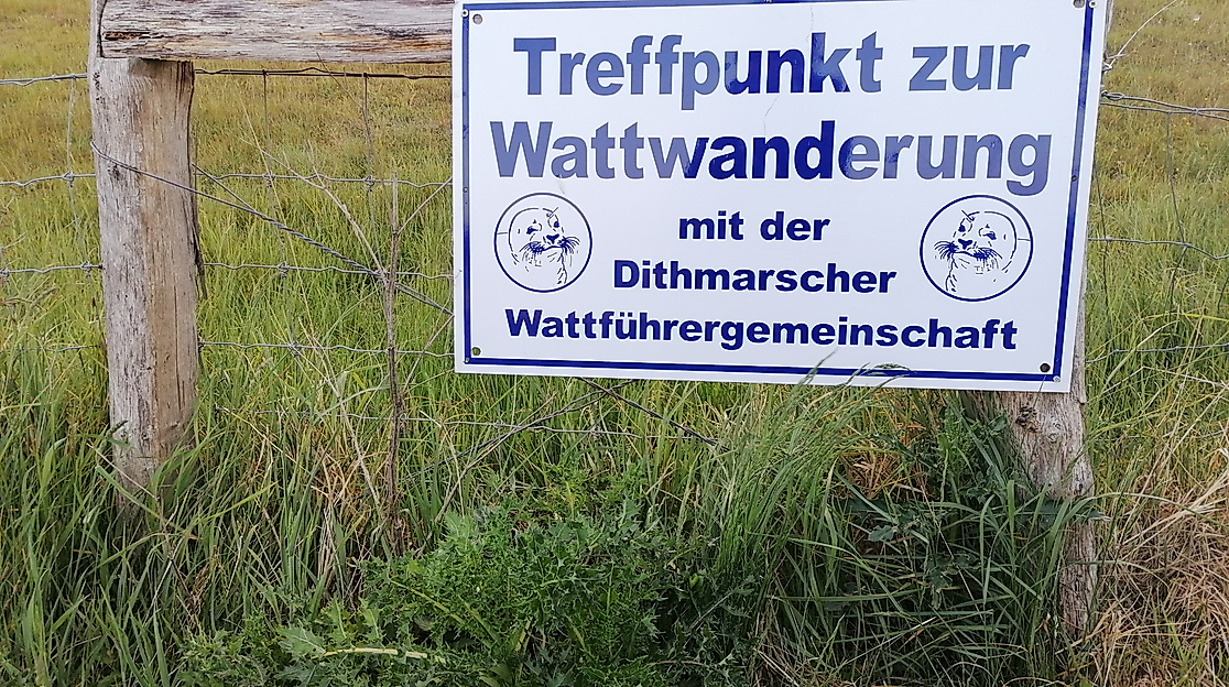 Wattführung "Watt & Co."