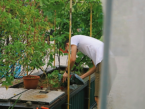 Urban Farming