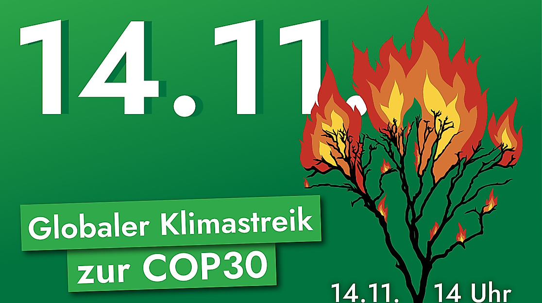baum_quer3zu2