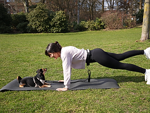 Aktiv mit Hund
