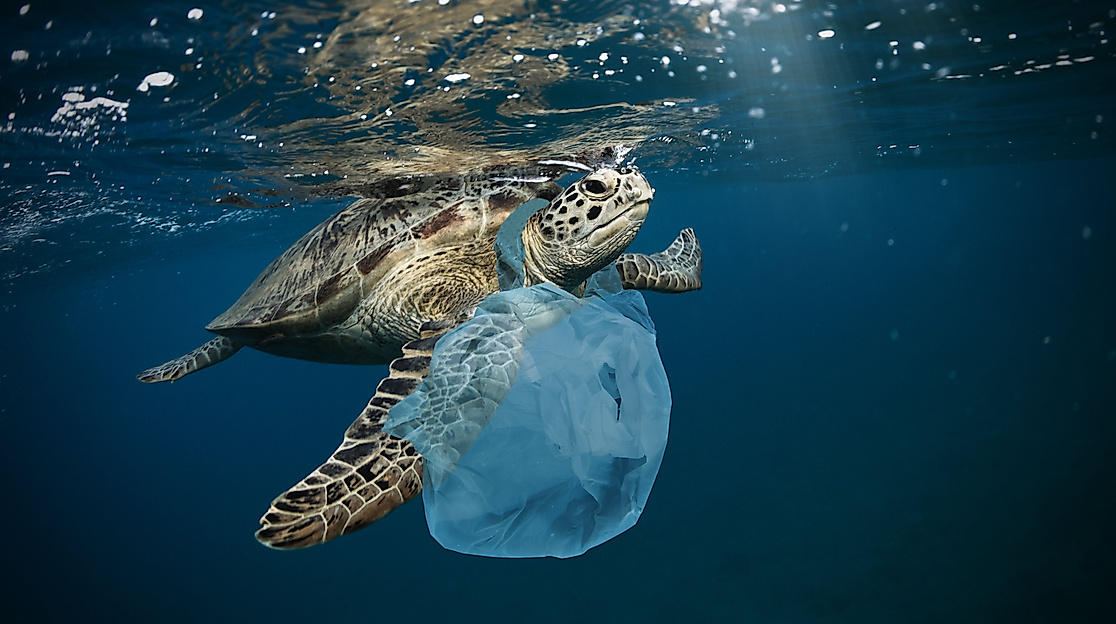 251113_Müllkippe Meer_(c) Jag_cz, istockphoto.com-min