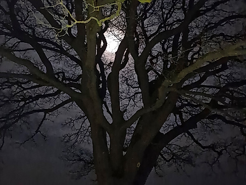 Vollmond
