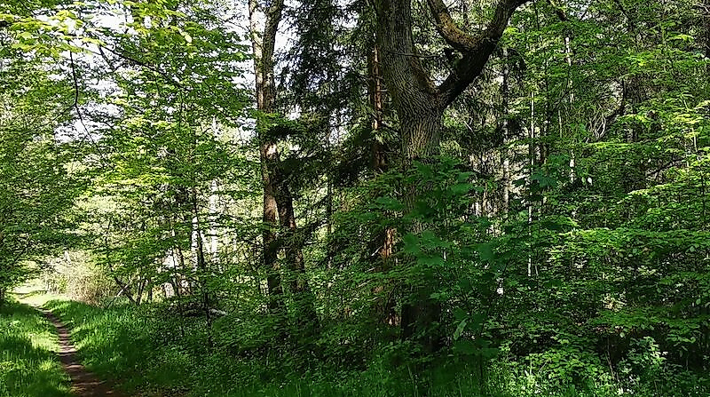 Historische Stätten an der Wipperau bei Oldenstadt
