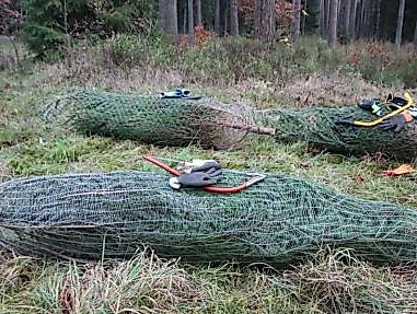 Ehrhorner Weihnachtsbaumschlagen