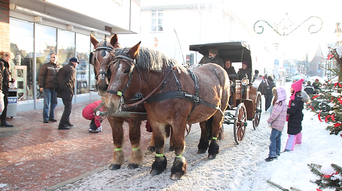 Kutschfahrten durch die Neustädter Innenstadt