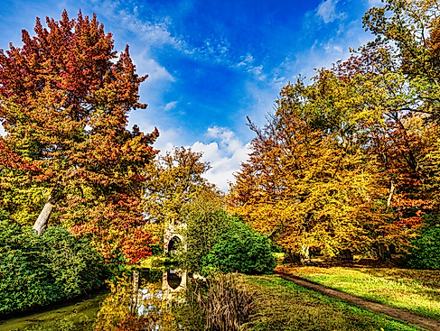 Ruine mit Amberbaum
