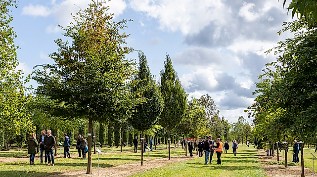 Garten-von-Ehren_Baumschulsafari_Exkursion