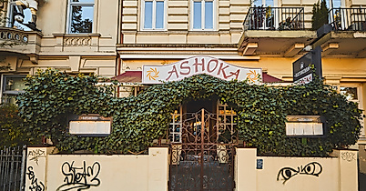 ashoka_c-2018-thisisjulia-photography-3