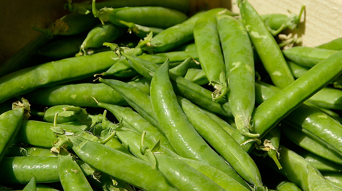 wochenmarkt_14cpixabay