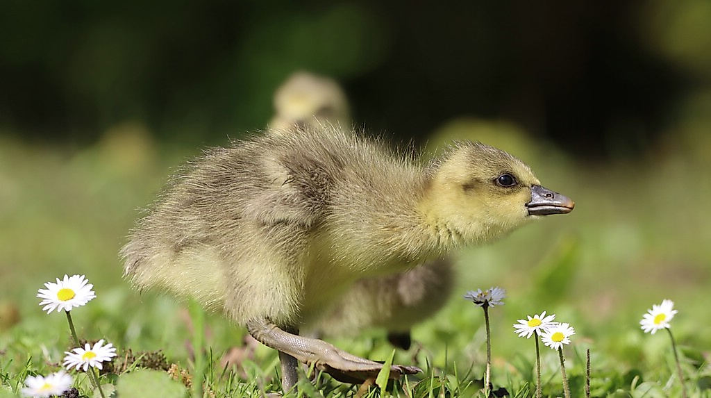 termin_21.04.26_IMG_9556