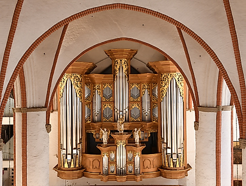 Arp-Schnitger-Orgel