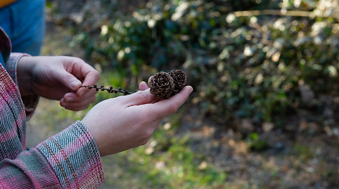 ars-eco-lab-Naturfuehrung-02