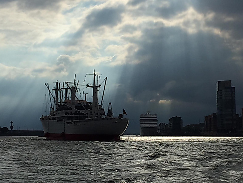 2019_Boot_Foto_Tom_Synnatzschke