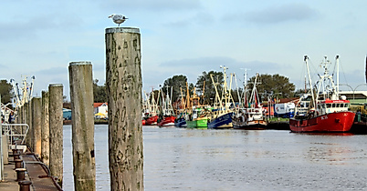 Büsum