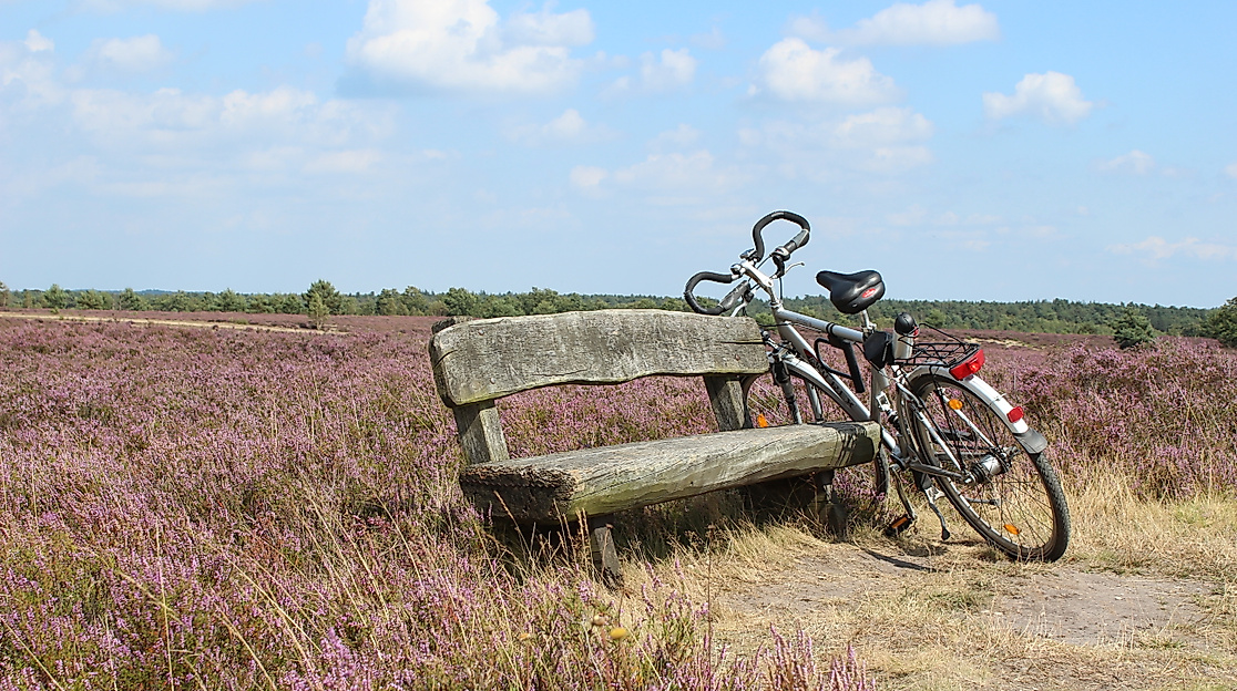 radtour_2