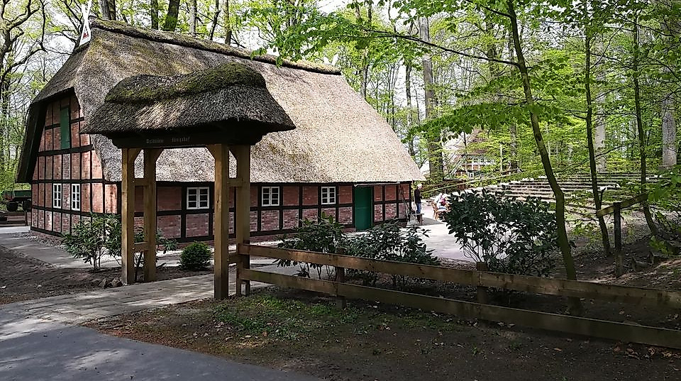 Waldbühne_Königshof