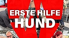 Rudel - Erste Hilfe am Hund