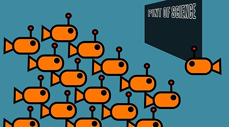 teachingnemo