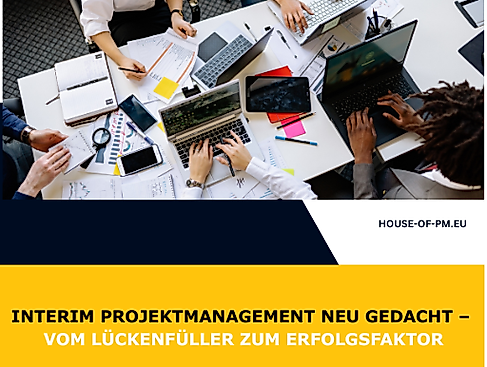 Interim Projektmanagement neu gedacht – vom Lückenfüller zum Erfolgsfaktor