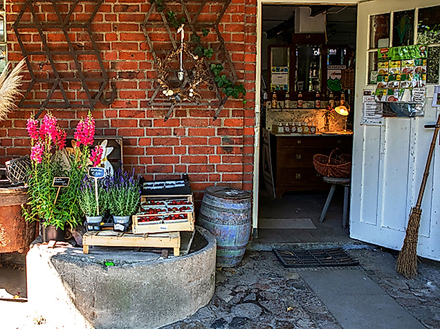 hof-neun-linden-2_jurina-zwirner-photographie-web-2500x1500