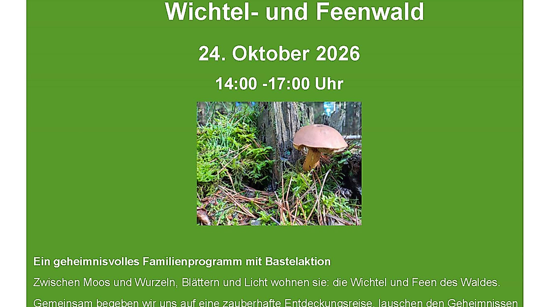 Die Wichtel und Feen des Waldes