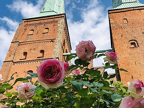 Heute ist der Dom von 16:00 bis 18:00 Uhr zur Besichtigung geöffnet. Opening hours today 4:00 PM to 6:00 PM