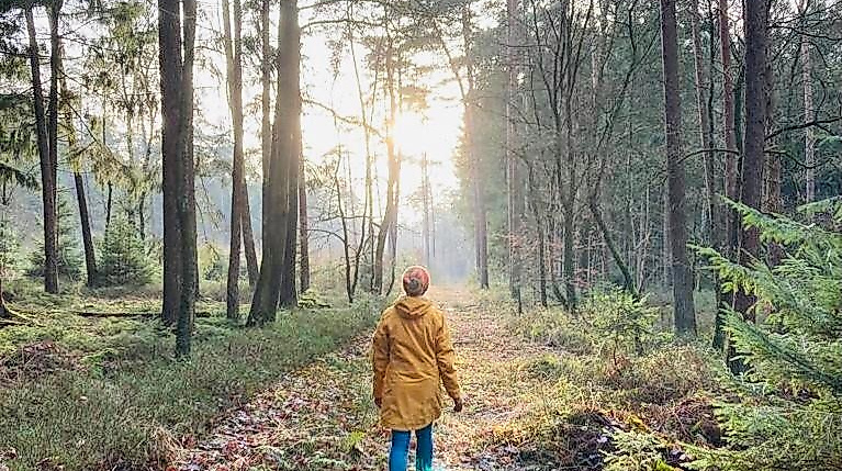 Gnarrenburg erleben: "Waldyoga und Yoga Walking"
