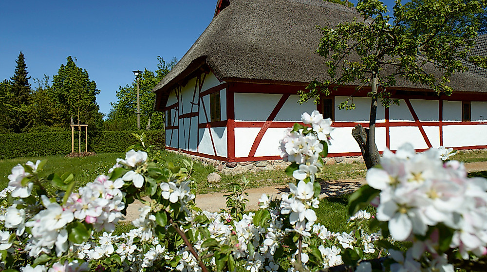 Freilichtmuseum Schwerin-Mueß