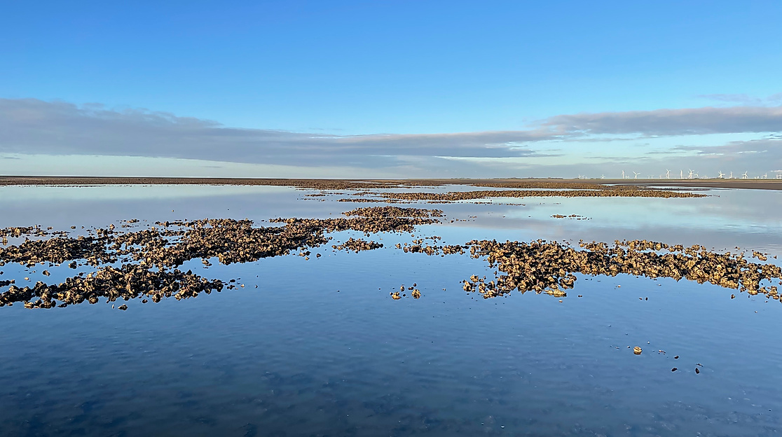 Wattführung "Lichtmomente"