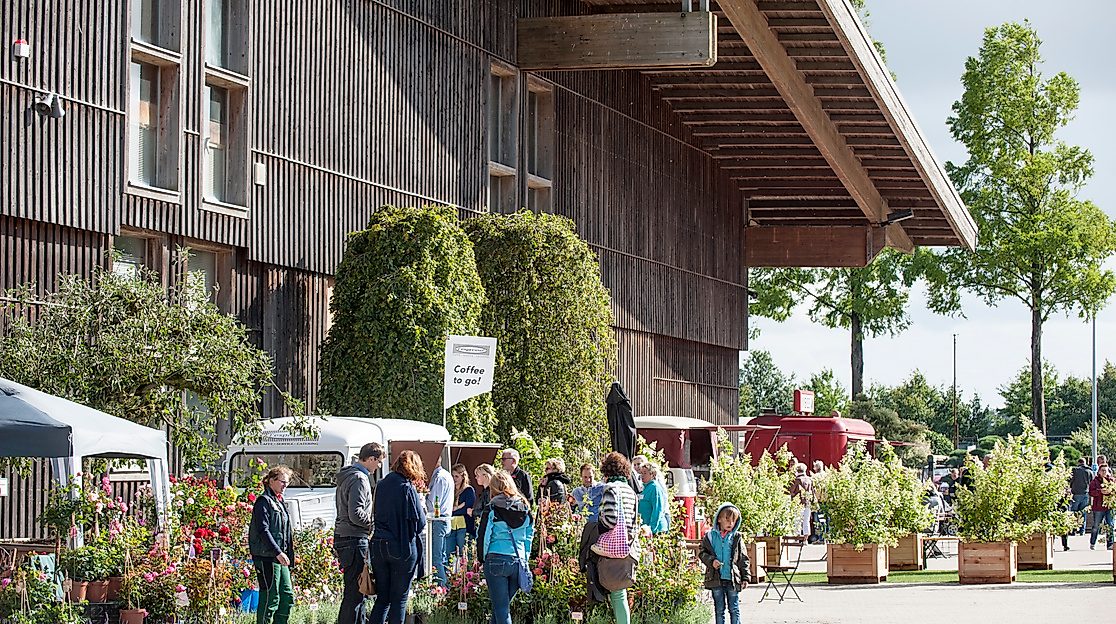 Tag der offenen Baumschule, Pflanzenmarkt