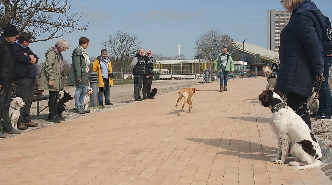 fehmarn1