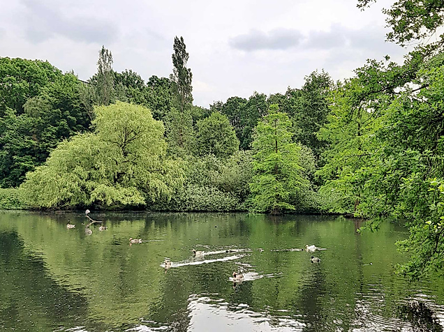 Eichtalpark-teich-c-adobeStock-Clarini