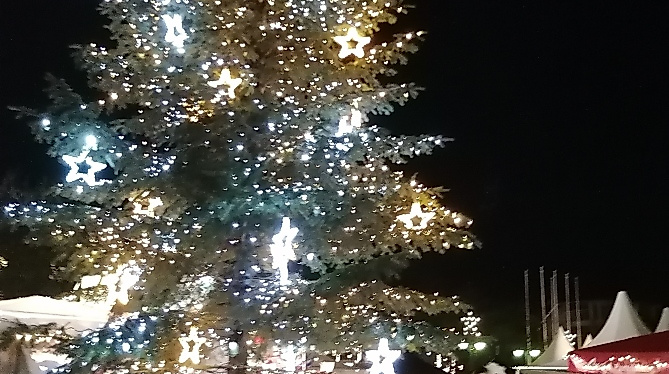Der Tannenbaum auf dem Norderstedter Rathausplatz