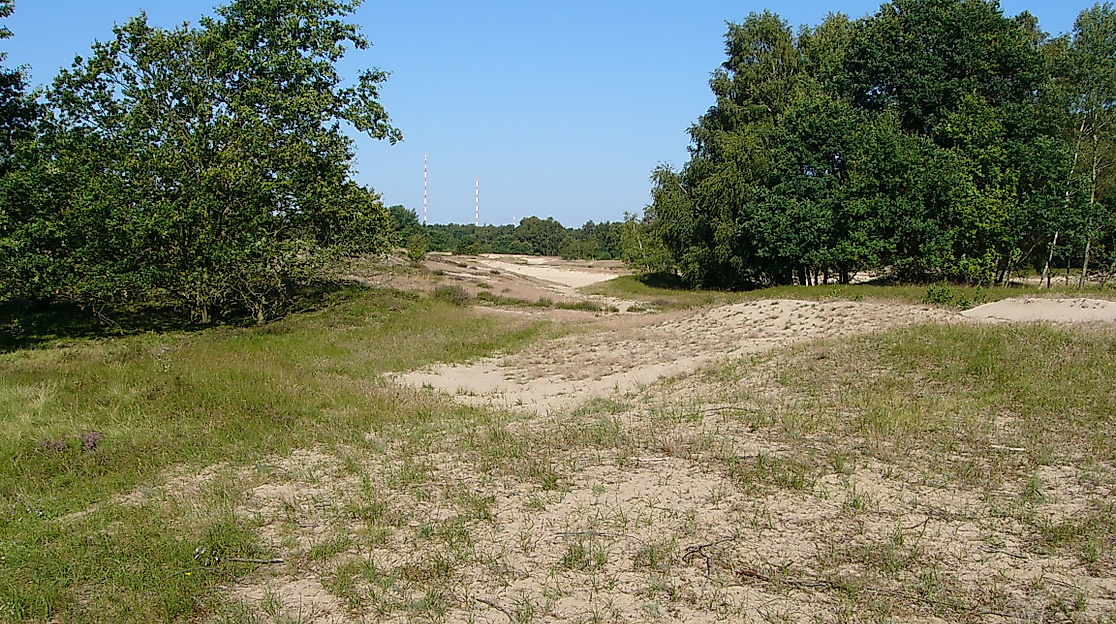 Boberger Dünen