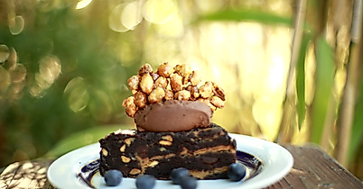 the-vegan-eagle_c-hannah-elser-3