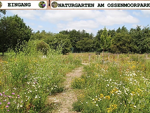 Naturgarten am Ossenmoorpark_c_Förderkreis Ossenmoorpark e.V.