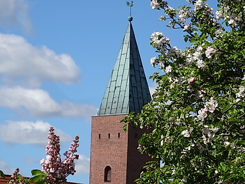 Gottesdienst - 5. Sonntag nach Trinitatis