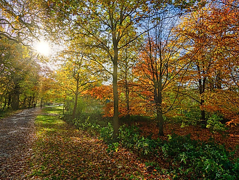 Bild von Tim Hill auf Pixabay