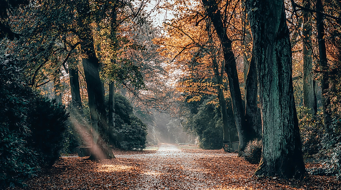 Ohlsdorfer Friedhof