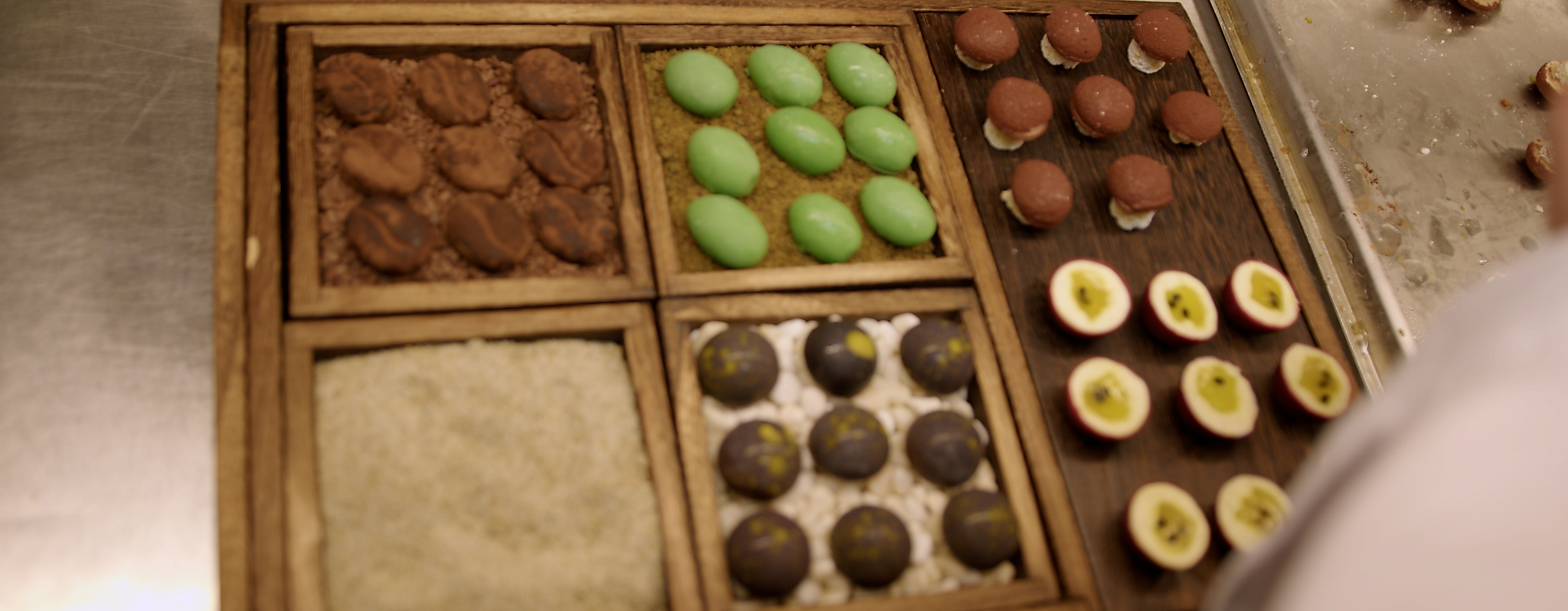 Restaurant Jellyfish