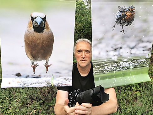 Fotoausstellung „Waldbaden in Wittfeitzen"