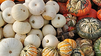 Bauernmarkt am Hafen mit Fair Trade Markt