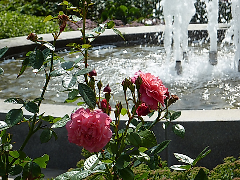 Blick auf den Brunnen