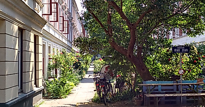 Hamburger Insider Stadtrundgang