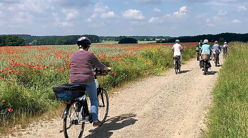 Geführte Fahrradtour mit der Urlaubsregion Ebstorf e.V.