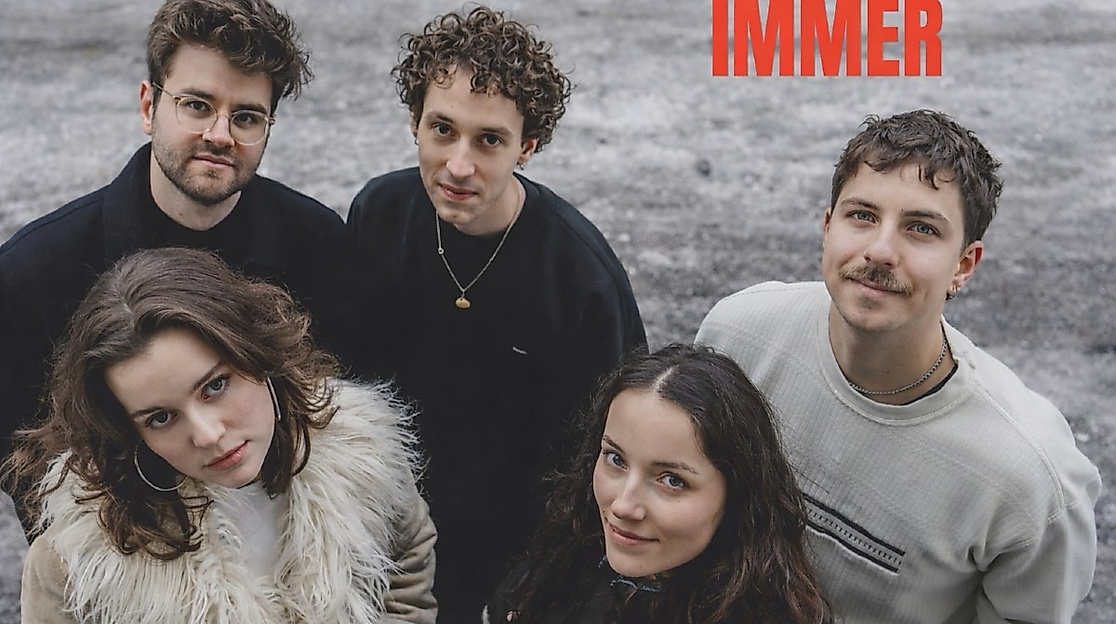 Picture Of A Red Seagull