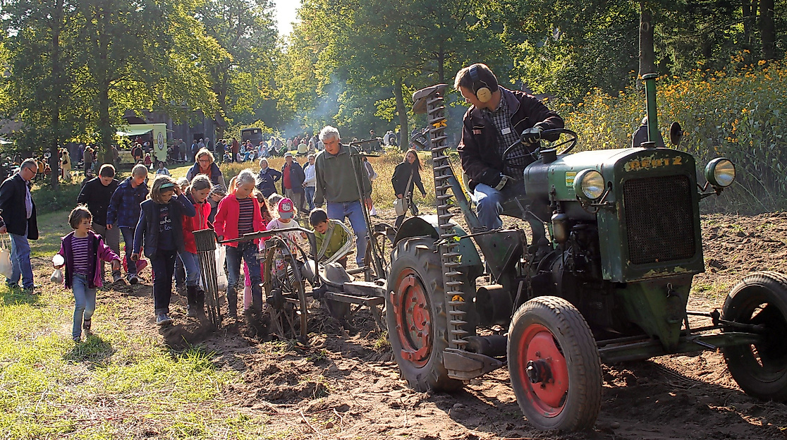 Erntedank- und Kartoffelfest